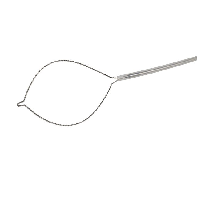 Disposable Polypectomy Snare