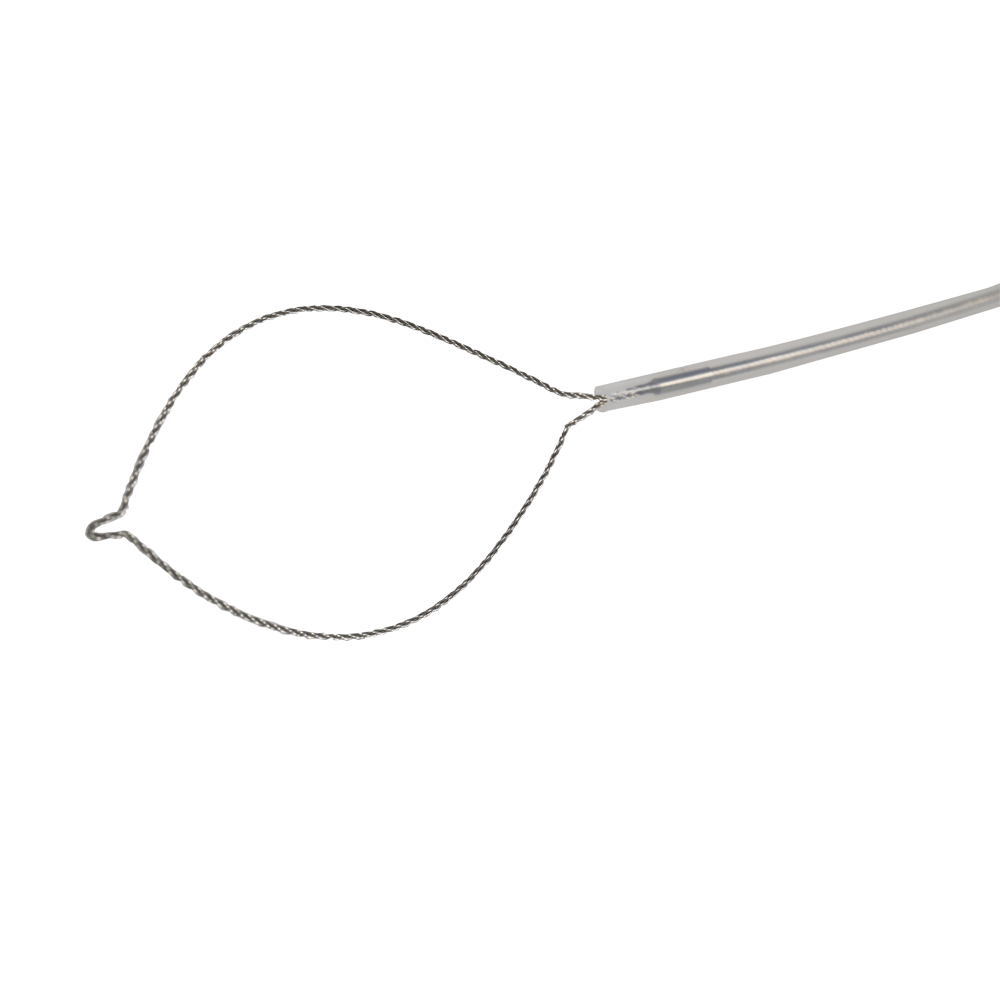 Disposable Polypectomy Snare 05.png